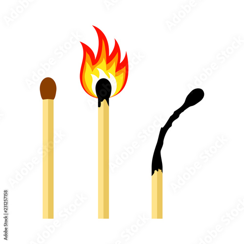 Matches on fire. Lighted match and burned match. Vector illustration