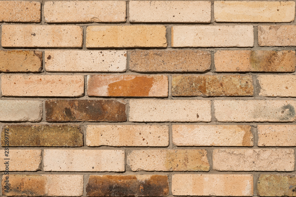 Obraz premium Detailed old yellow brick wall background photo texture