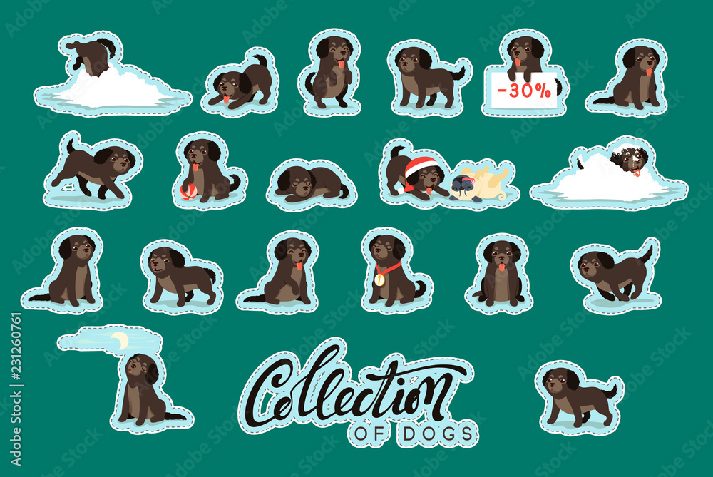 Fototapeta premium Set of cute dogs labrador and retriever.