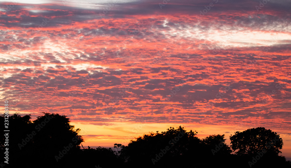 Sunrise Sunrise