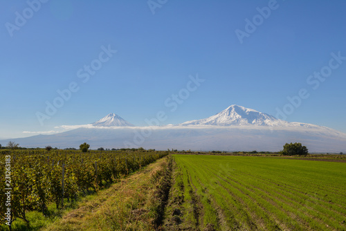 A scenic view of Mout Ararat from Armenia