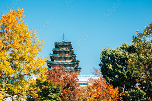 Gyeongbokgung Palace with autumn maple in Seoul, Korea