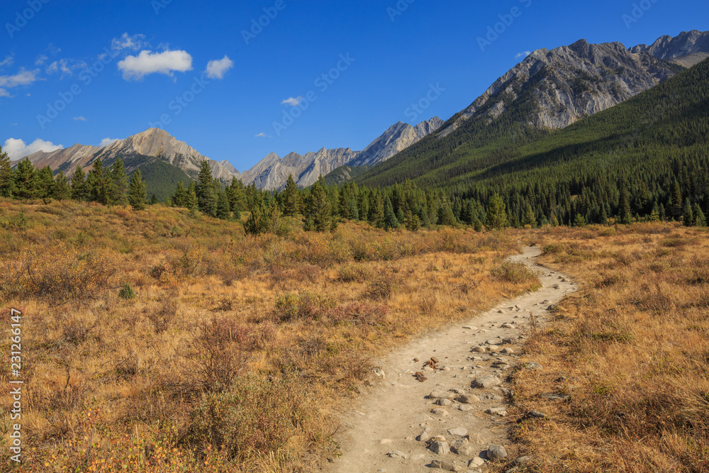 Obraz premium Wilderness