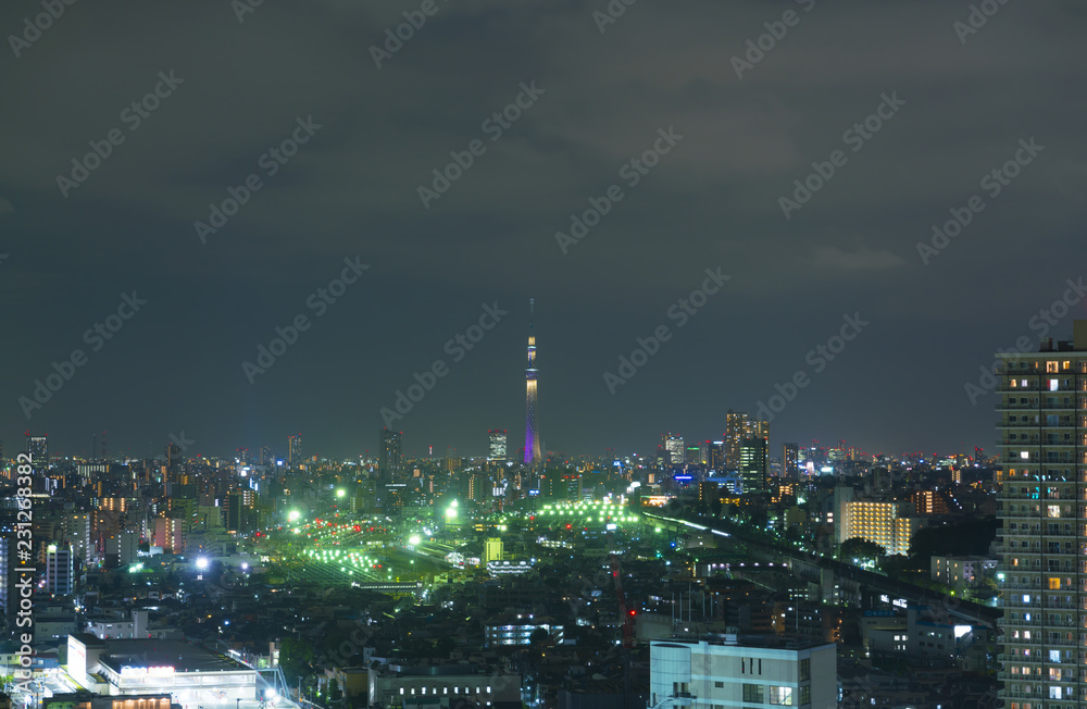 Obraz premium 東京夜景・東京スカイツリーと街並み