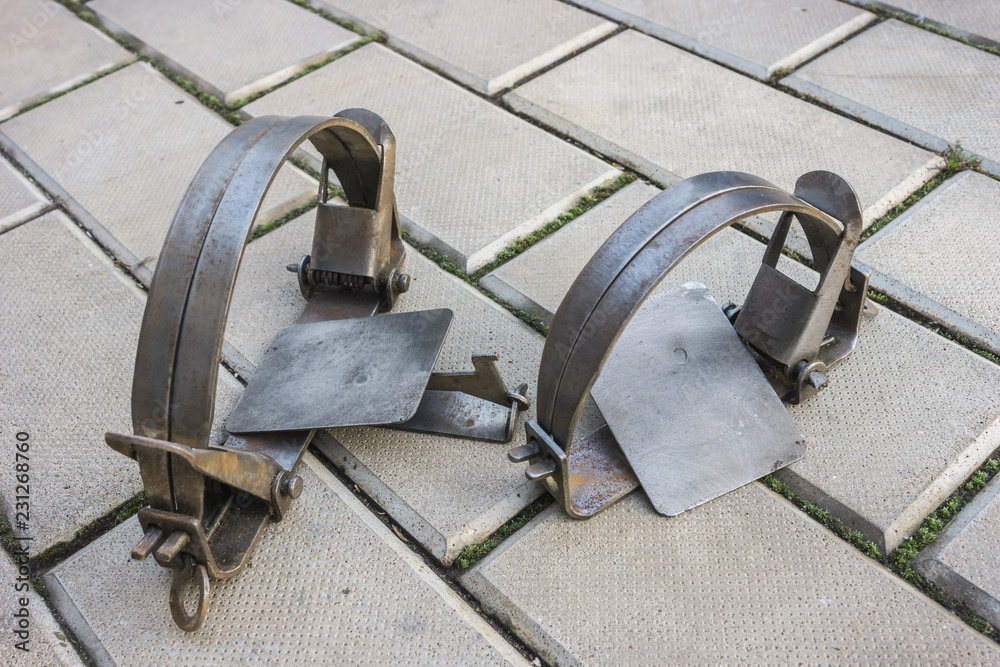 Two iron traps on stone floor Two iron traps on stone floor
