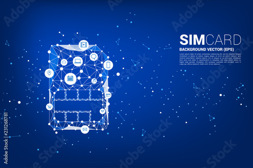 Vector Polygon dot connect line shaped sim card icon with functional icon. Concept for function of mobile sim card technology  and network.
