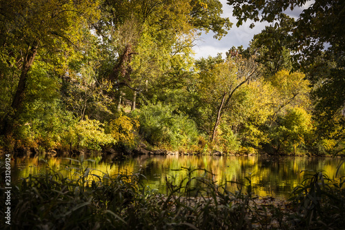 Fall river reflections
