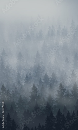 Pine forest in winter by digital painting 