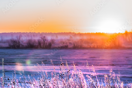 Frosty autumn morning. Western Siberia