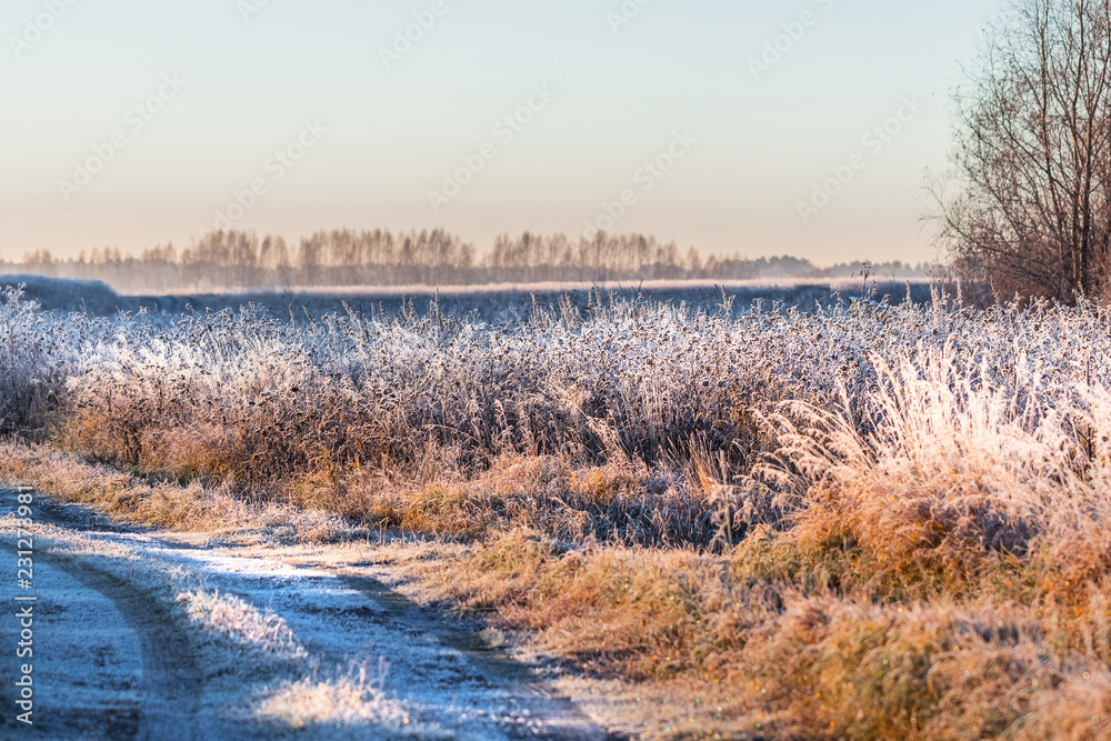 Morning autumn frosts