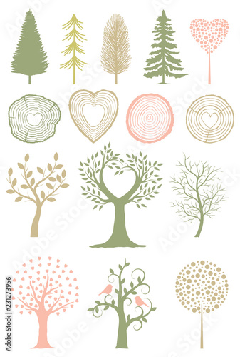 A Collection of Trees and Wood Rings in Vector