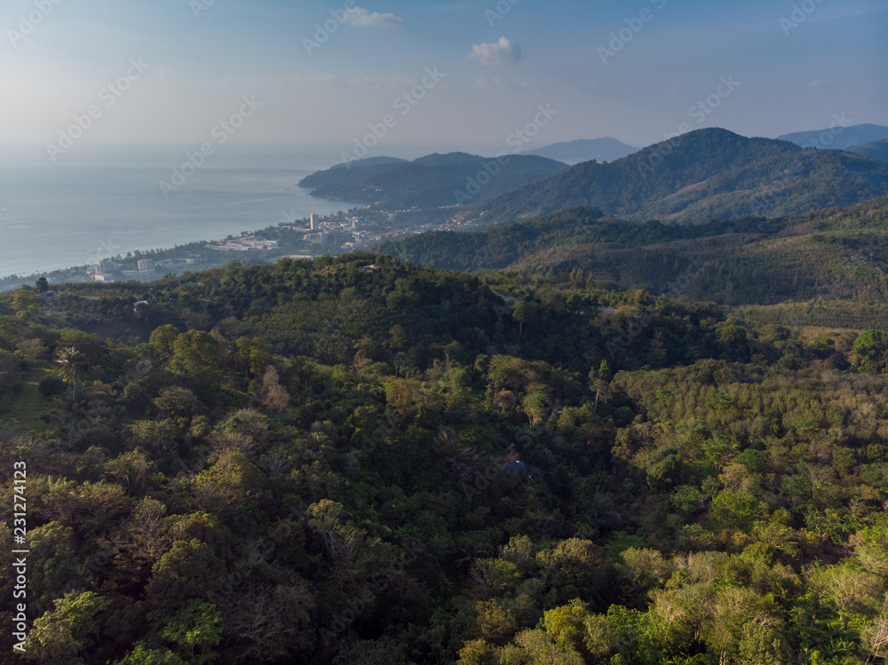 forest mountain and sea aerial view