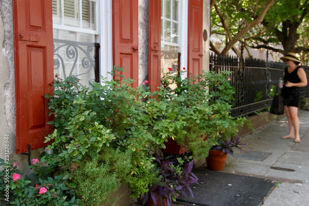 Historic Charleston stucco house with window boxes