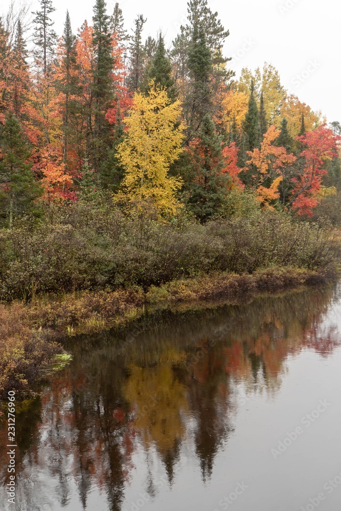 Vibrant Autumn Colors Reflecting on the Wisconsin River in Land O'Lakes Wisconsin
