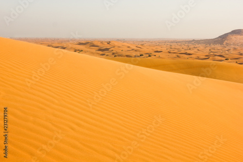 Sand yellow wave in the desert and dunes on a clear day