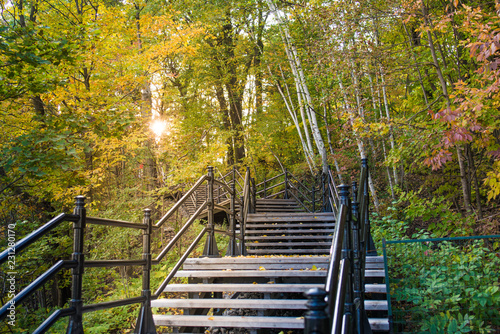 Fall season in Mont Royal park in Montreal  Canada