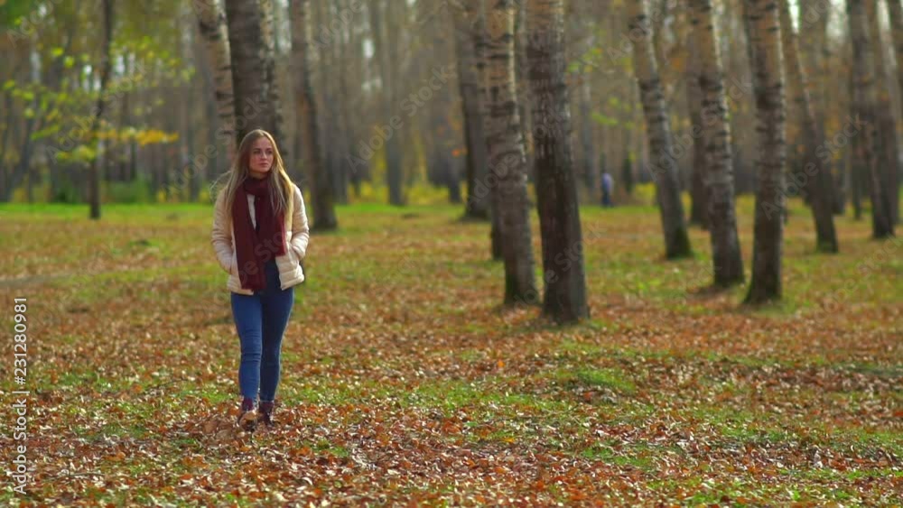 Young attractive girl walking in autumn Park. Young attractive girl walking in autumn Park.