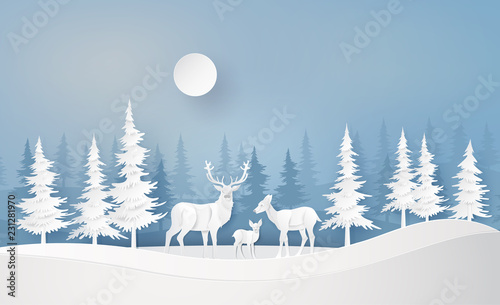 Deer in forest with snow.