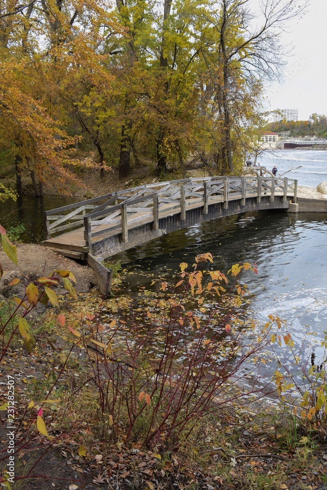 Bridge over river with autumn trees 