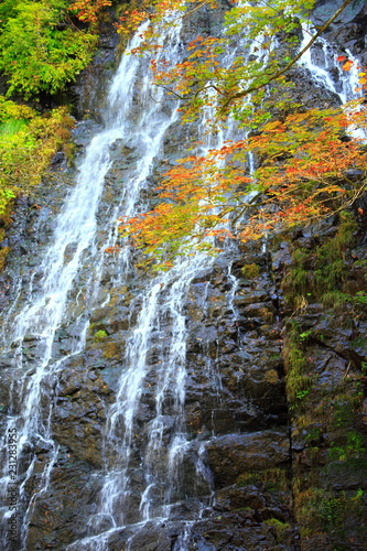 秋の龍双ヶ滝