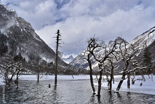 Frozen lake and dead trees at the Shuangqiao Valley, Sichuan, China   photo