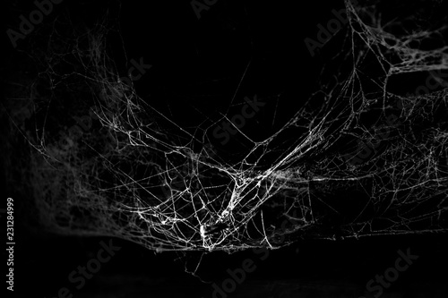 Cobweb closeup on black background photo