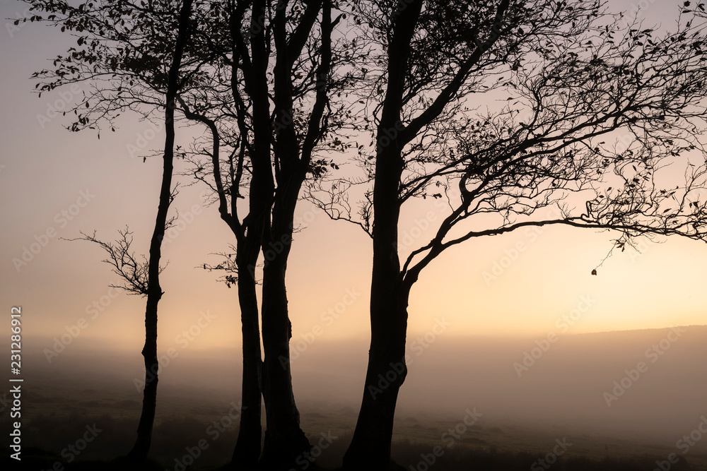 Beautiful foggy sunrise landscape over the tors in Dartmoor revealing peaks through the mist Beautiful foggy sunrise landscape over the tors in Dartmoor revealing peaks through the mist