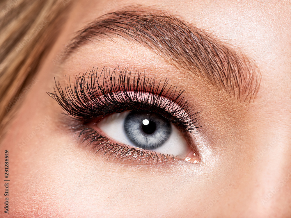 Macro Shot of Young Woman's Beautiful Eye. Macro Shot of Young Woman's Beautiful Eye.