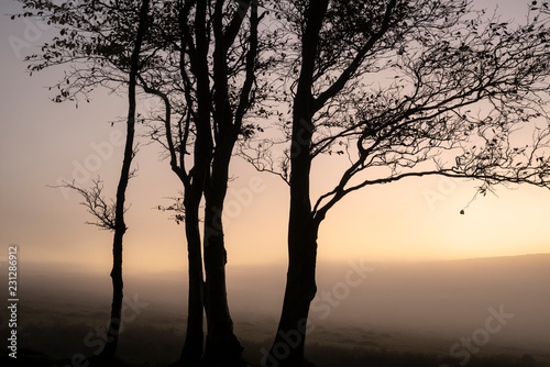 Beautiful foggy sunrise landscape over the tors in Dartmoor revealing peaks through the mist © veneratio