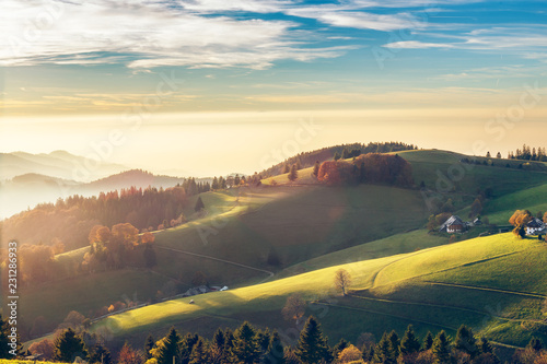 Scenic autumn mountain landscape of Black Forest, Germany. Colorful travel background.