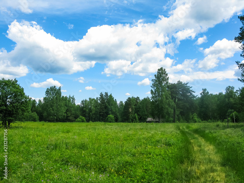 summer field and forest in the natural park Olenyi brooks in the Sverdlovsk region