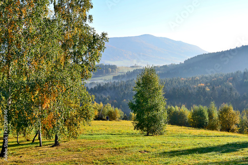 Colorful autumn morning in the mountains, Low Beskids (Beskid Niski), Poland