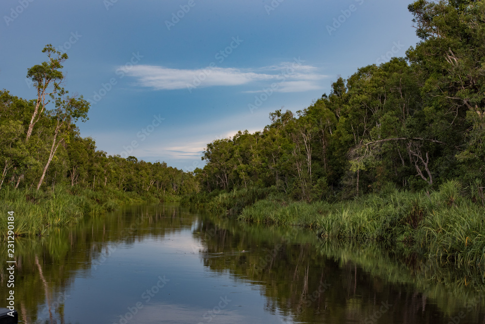 Tropical River Tanjung Puting