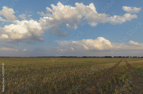 Sloping field and blue sky with clouds.
