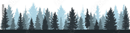Winter forest (fir trees, spruce) silhouette on white background. Vector illustration.