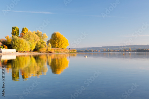 Herbstnachmittag am Bodensee in Allensbach photo