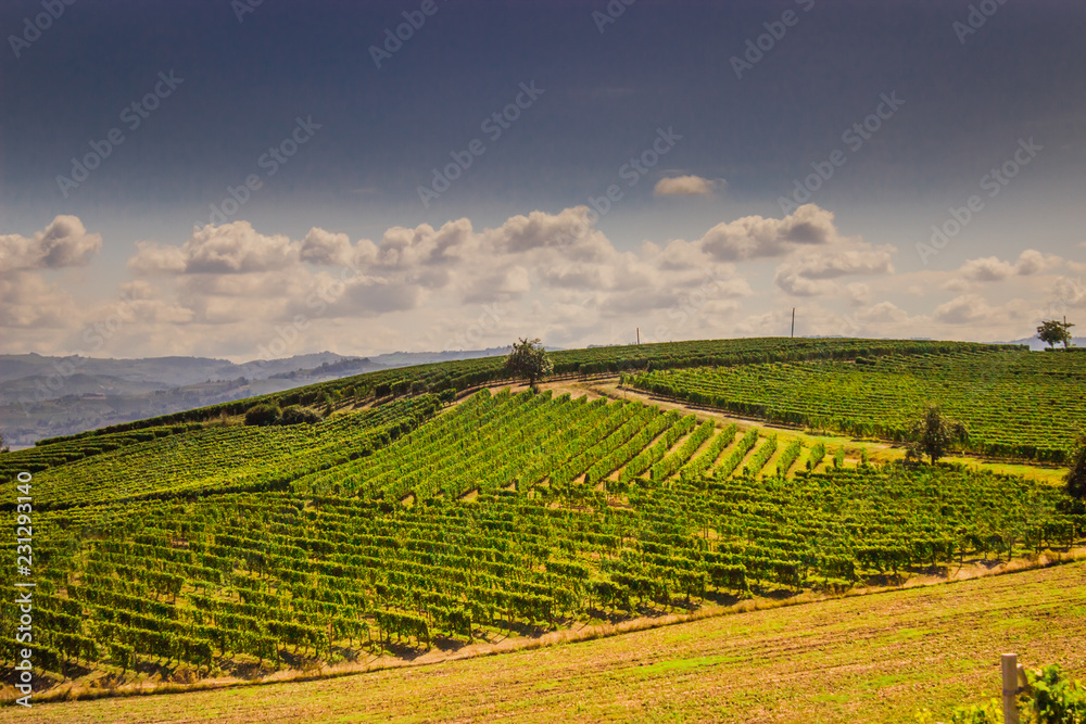 Santa Vittoria d'Alba village, vineyards and countryside landscape in Piemonte. Alba Piemonte, Italy Europe.