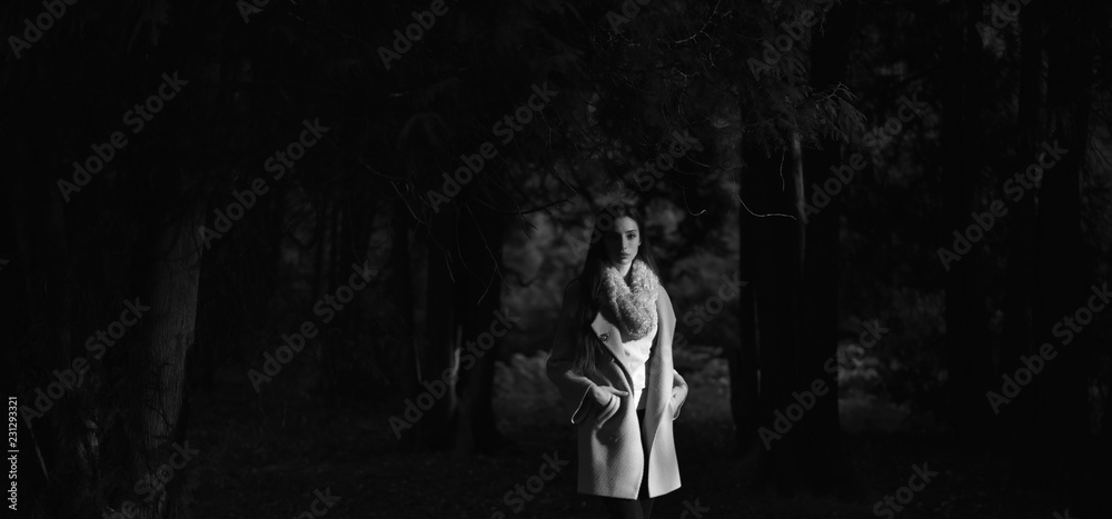 portrait of a girl in autumn Park
portrait of a girl in autumn Park