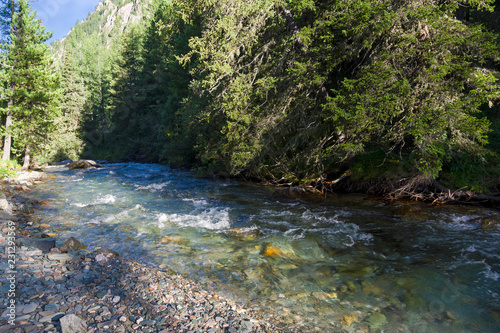 A small river in the Altai Mountains. Russia. photo