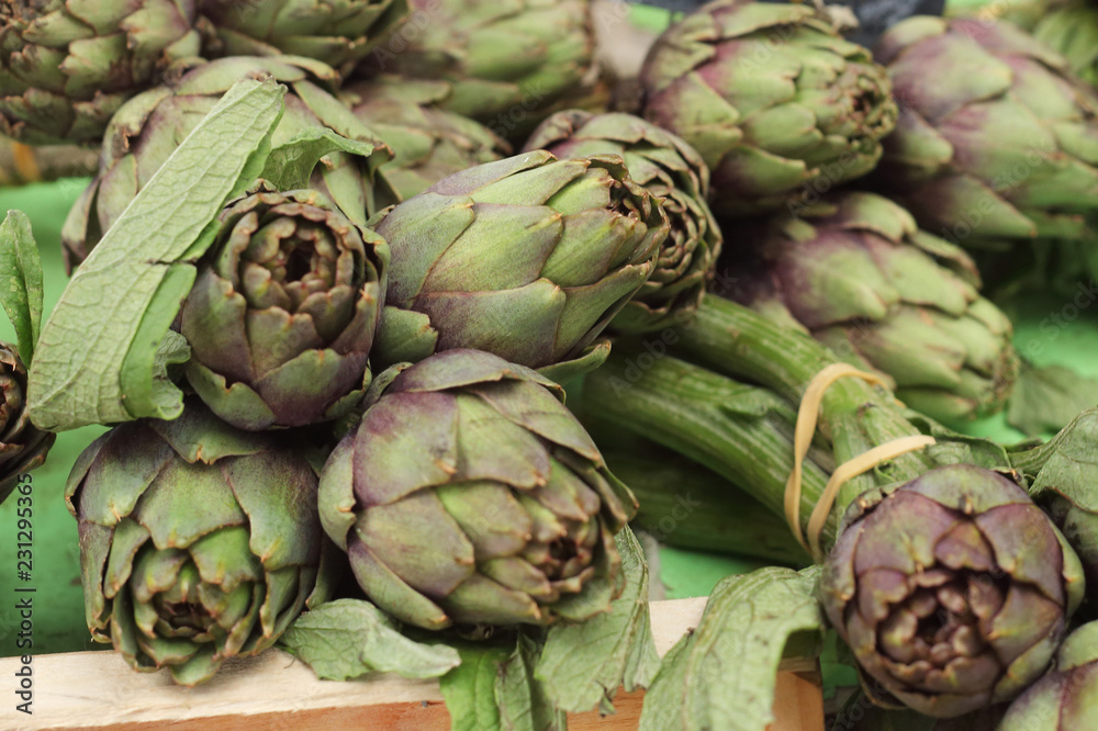 Fototapeta premium Big green artichokes