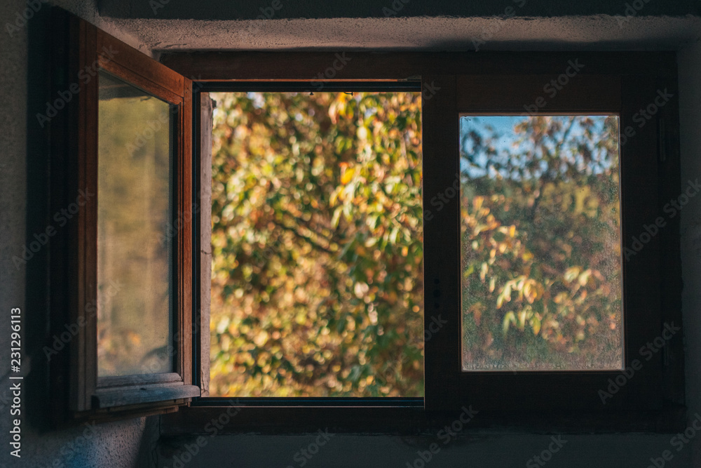 A small wooden window is open with a view towards the garden A small wooden window is open with a view towards the garden