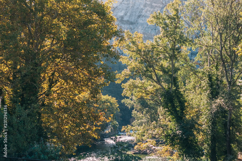 Fototapeta premium View of the mountain river through the trees