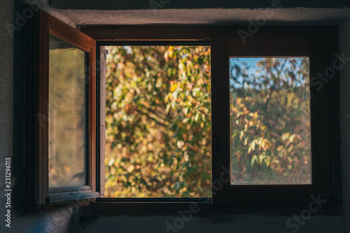 A small wooden window is open with a view towards the garden