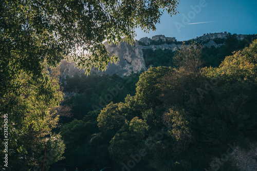 Large space in the frame - forest in the background of the mountain - tonal perspective