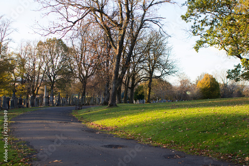 A Cemetery glowing in the light of a Autumn sunset