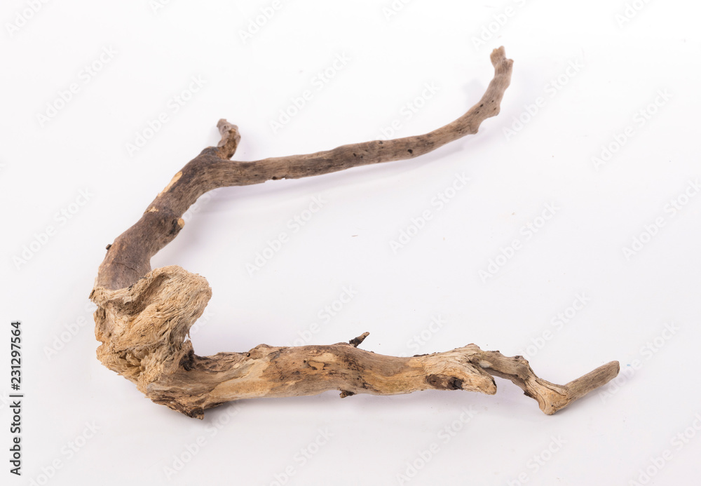 Dried tree snag Dried tree snag
