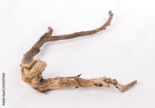 Dried tree snag