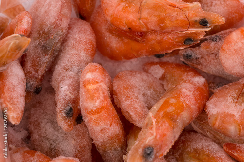 Frozen shrimp background