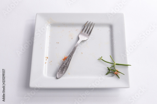 Square dirty plate with fork