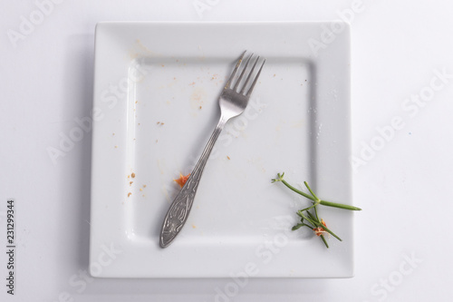 Square dirty plate with fork © Max Sokolov